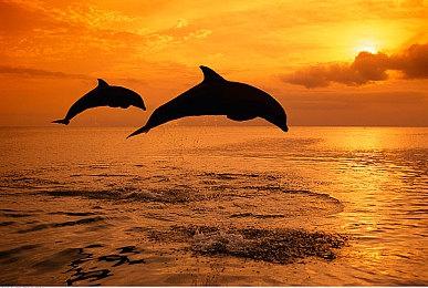 漫改游戏《来自深渊 朝向黑暗的双星》公布新截图 2022年发售