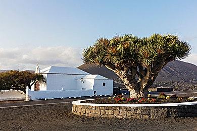 SNK计划10年内促成《SNK vs Capcom》新作